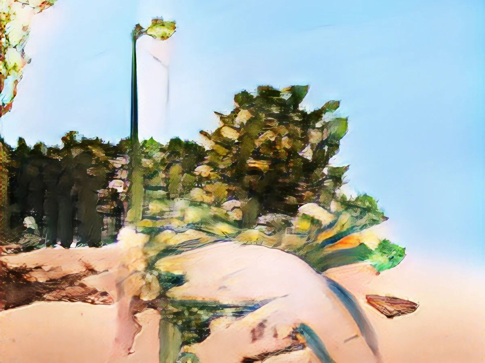 The Legality of Psychedelic Therapy with Courtney Barnes