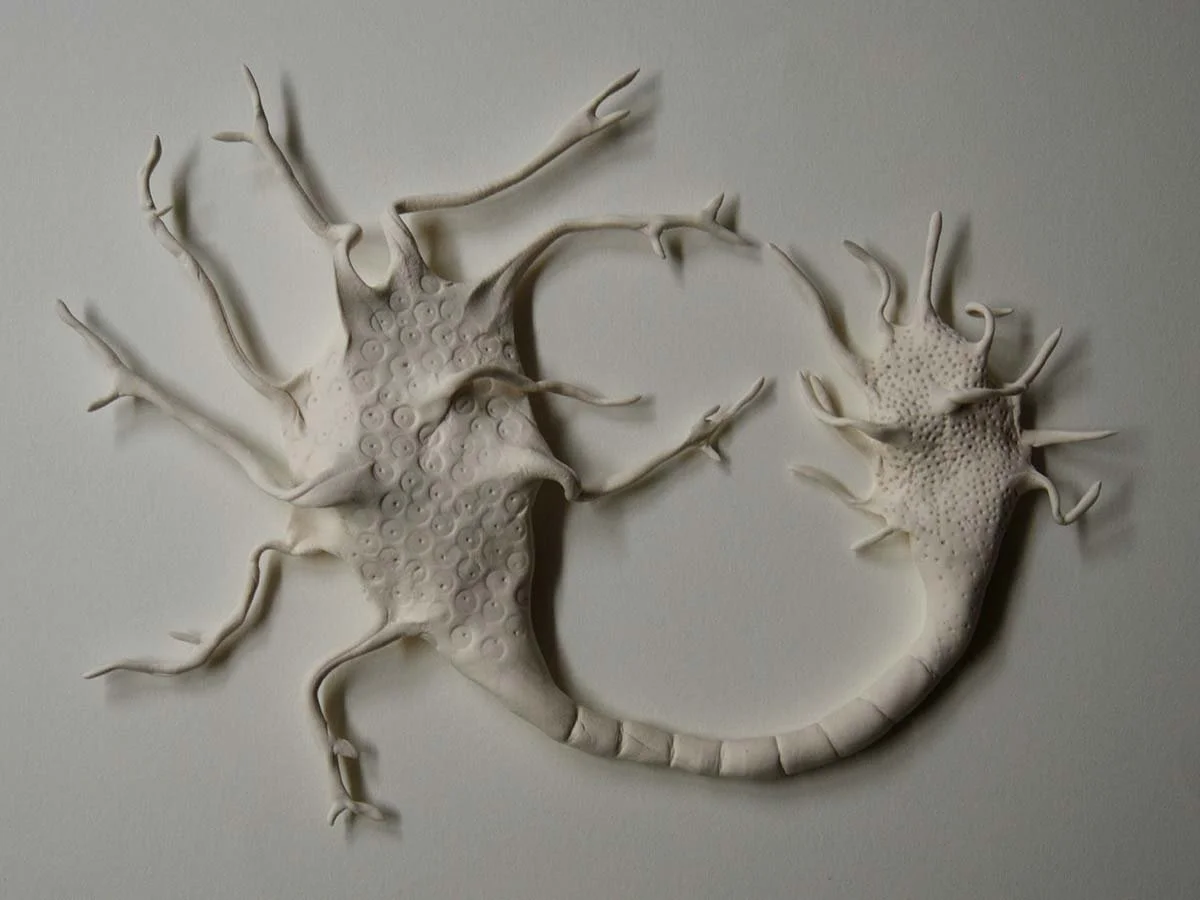 Transcendental family systems