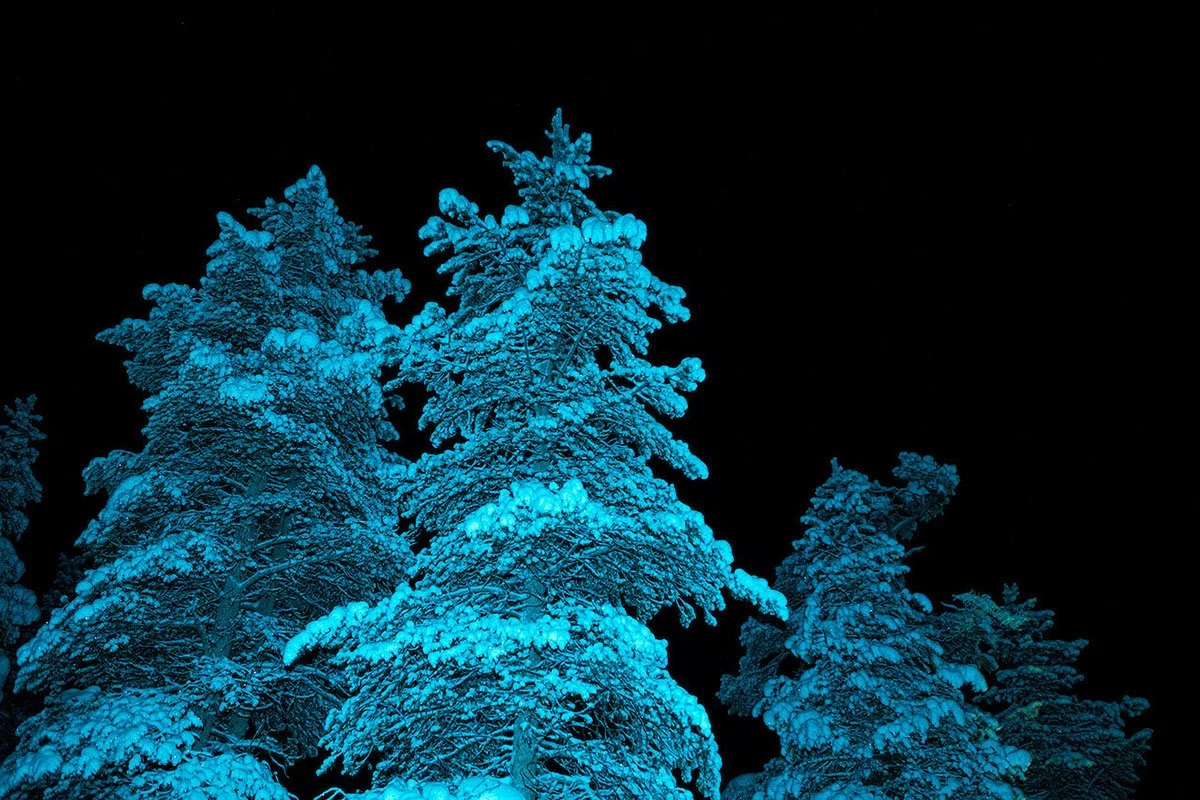 Integration: planning and meaning making with Kyle Buller